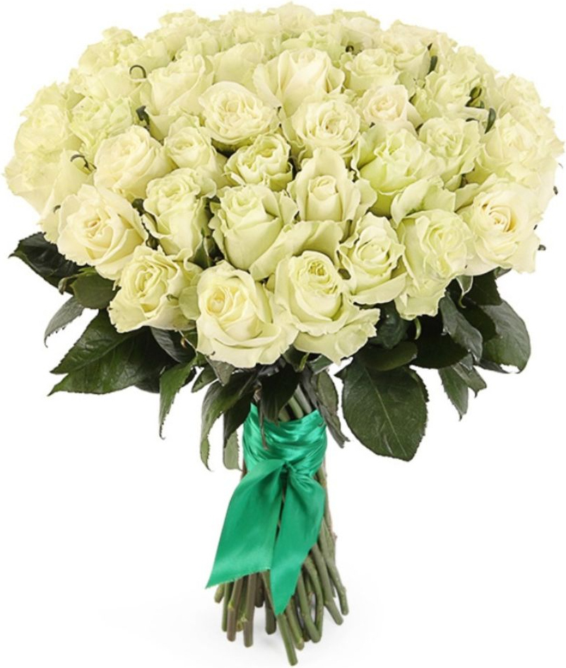 Розы Эквадор белые Розы Эквадор белые